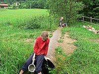 Budislav 2006 (Modroočko)  
