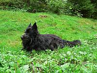 Vranice 2006 (Hobiti)