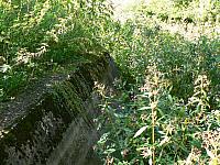 Vrabčí expedice, září 2006