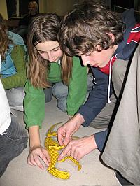 Jaráky 2007 (Doba Ledová)