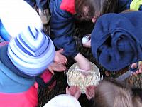 Jaráky 2007 (Doba Ledová)