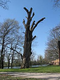 Velikonoce 2007